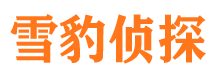 永安市私家侦探